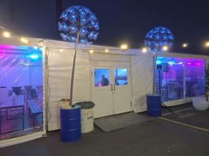 LED Pusteblumen XXL 4