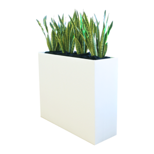 Cool Raumteiler inkl. Sansevieria 1