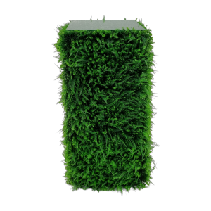 Green Stehkube gross 1