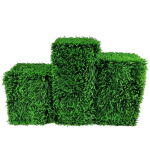 Green Stehkube gross 3